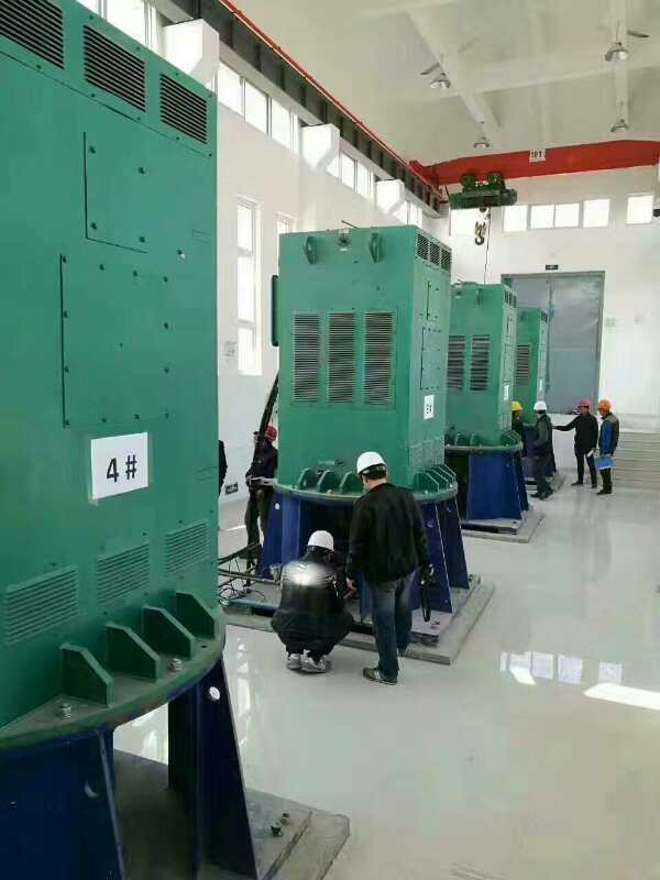 左贡某污水处理厂使用我厂的立式高压电机安装现场